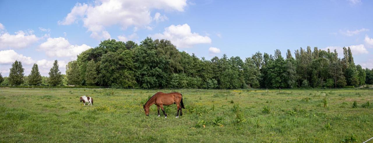De Lammersdamhoeve Wingene Extérieur photo